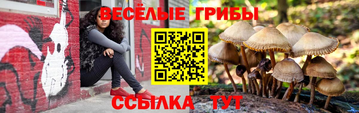 Арсеньев  Псилоцибиновые грибы GOLDEN TEACHER  Псилоцибиновые грибы Cubensis  Вход с VPN 